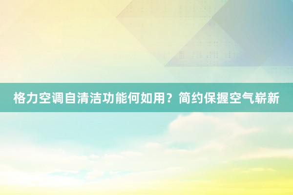 格力空调自清洁功能何如用？简约保握空气崭新